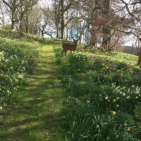 Couette-café Gallows Hill 3*