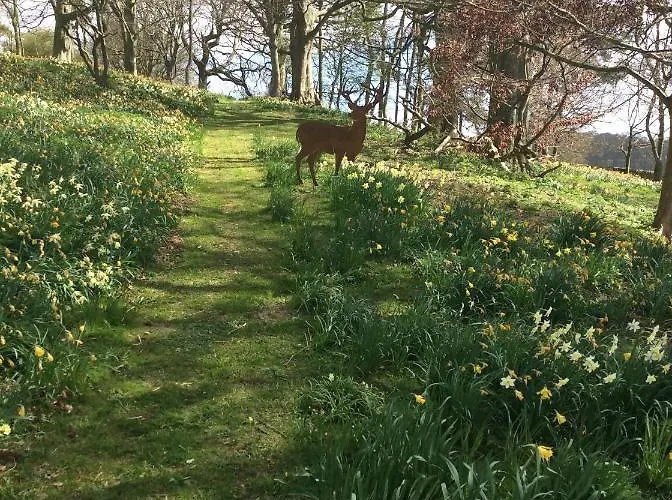 Nocleg ze śniadaniem Gallows Hill 3*