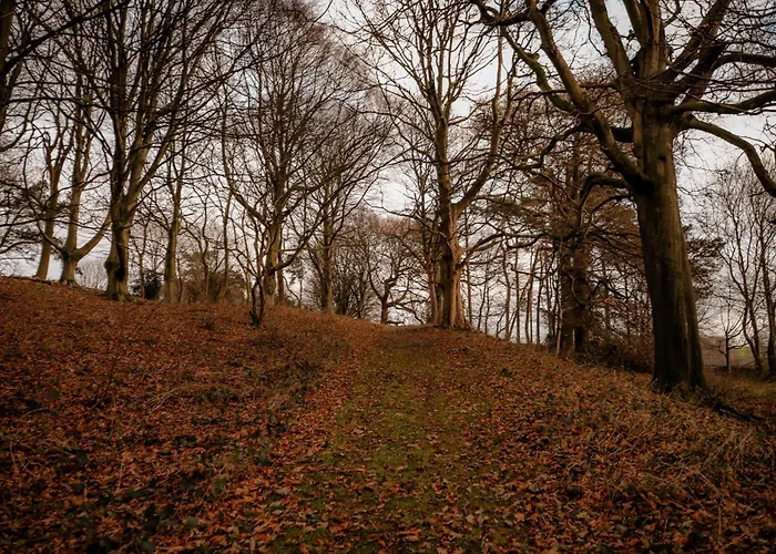Gallows Hill Scarborough
