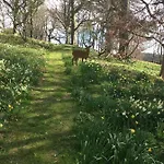 Bed & Breakfast Gallows Hill 3*