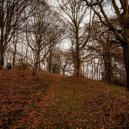 Gallows Hill Scarborough